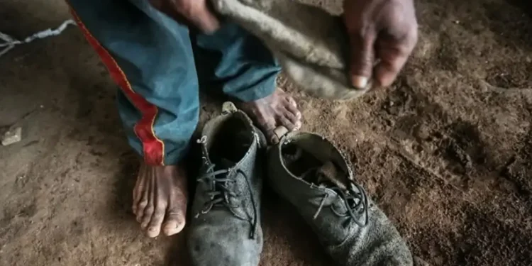 Governo resgata mais de 2.700 pessoas em condições de trabalho análogas à escravidão no Brasil somente em 2025