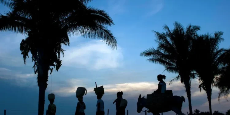 Alta demanda da China faz com que animal símbolo do Brasil enfrente sério risco de extinção