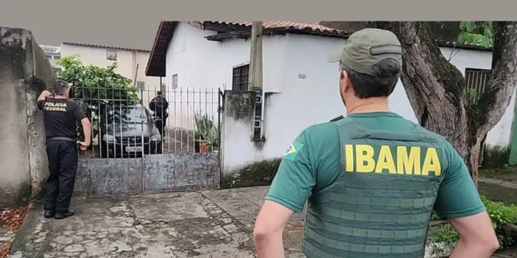 Ibama proíbe que estes 5 animais sejam criados como pets