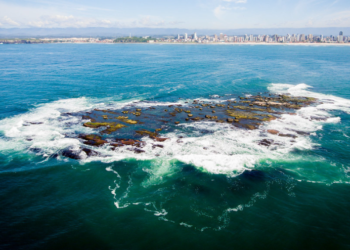 Paraíso com uma das melhores ondas do Brasil pode liberar o surfe após 23 anos de proibição