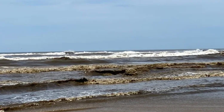 Estado conhecido por ter ‘mar chocolatão’ tem 89 áreas próprias para banho de 96 pontos monitorados
