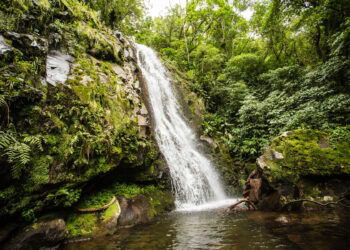 Paraíso escondido pela natureza é tratado como ‘Jalapão Gaúcho’ e atrai cada vez mais turistas