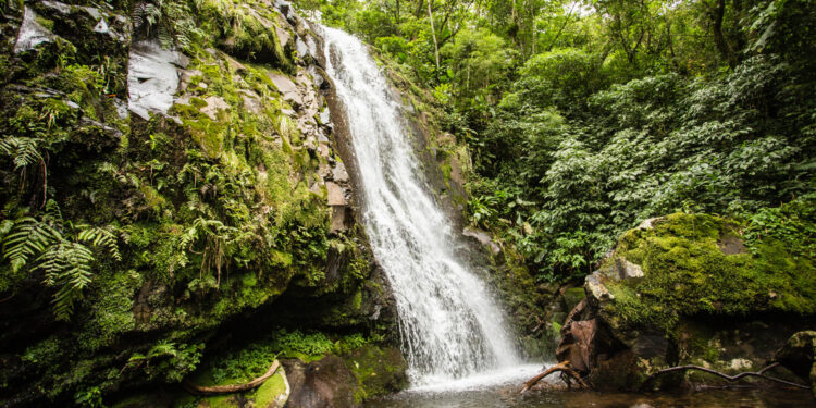 Paraíso escondido pela natureza é tratado como ‘Jalapão Gaúcho’ e atrai cada vez mais turistas