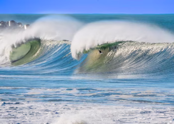 Ressaca no mar com ondas de 4 metros causou milhares de mortes no Brasil vitimando animais marinhos