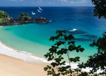 Praia brasileira deixa todas as outras no chinelo ao ser eleita a melhor do mundo por 7 vezes