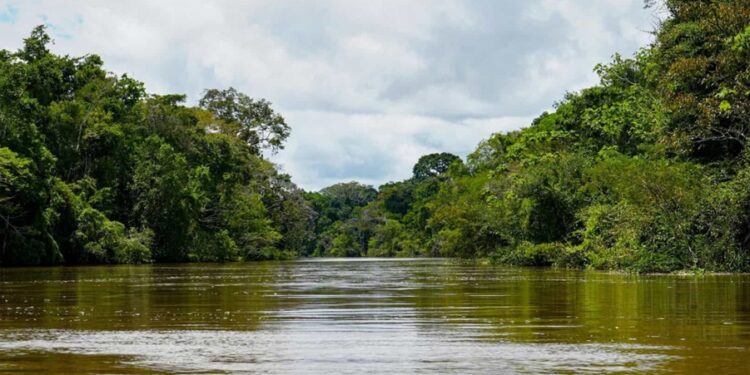 Rio mais profundo do Brasil supera 3 vezes a altura do Cristo Redentor com 120 metros de fundura