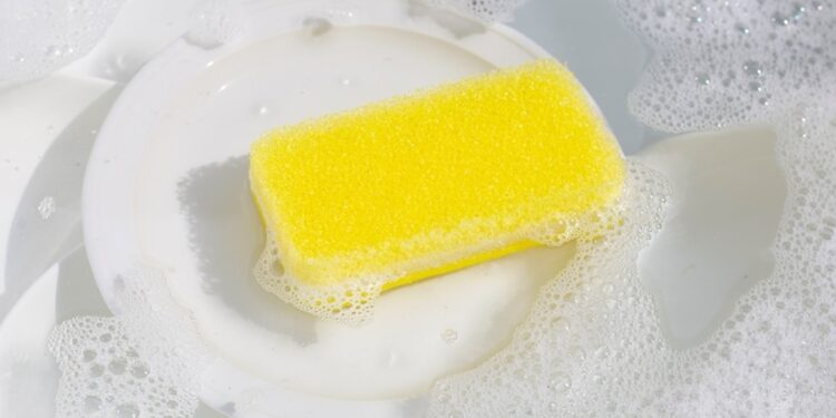Novo material promete aposentar a esponja de lavar louça por durar meses e evitar bactérias
