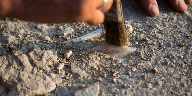 Descoberta a 2,5 km de profundidade pode mudar o rumo da arqueologia mundial