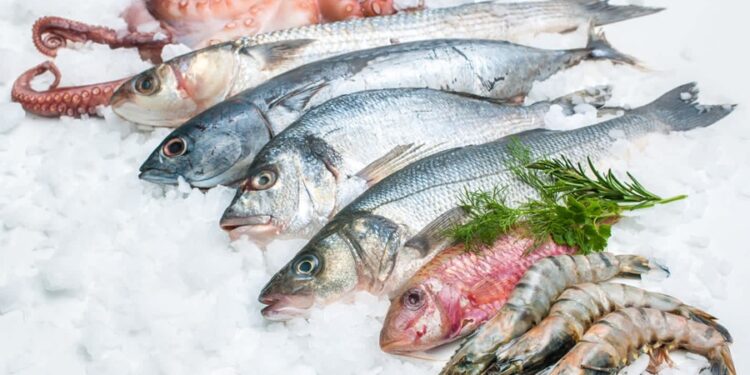 5 melhores peixes encontrados no Brasil para fazer filé