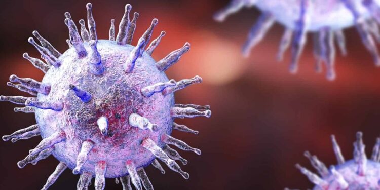 Especialistas estão monitorando vírus para evitar nova pandemia em 2026