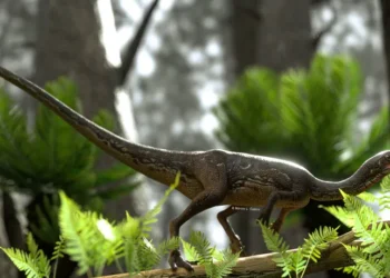 Dinossauros mais antigos do mundo com até 233,2 milhões de anos foram encontrados no Rio Grande do Sul