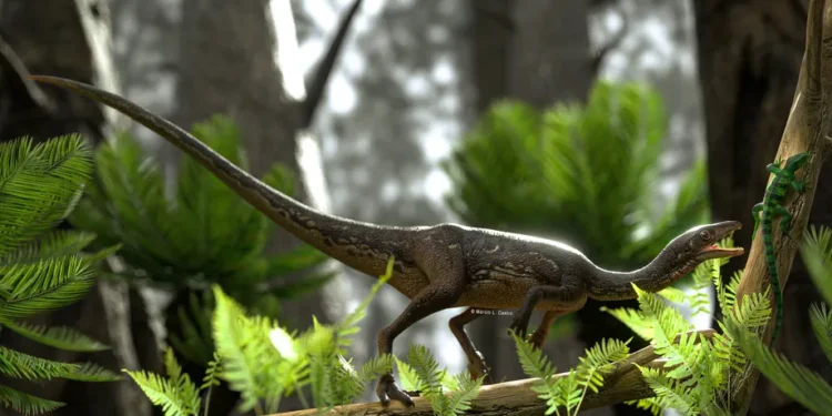 Dinossauros mais antigos do mundo com até 233,2 milhões de anos foram encontrados no Rio Grande do Sul