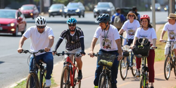 A frase de Albert Einstein que viralizou nas redes sociais: “A vida é como andar de bicicleta; para manter o equilíbrio, você precisa continuar em movimento”