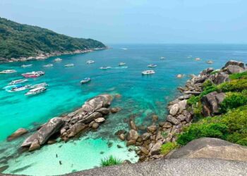 Criaturas marinhas com veneno perigoso para humanos obrigam autoridades a fecharem praias de paraíso turístico