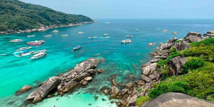 Criaturas marinhas com veneno perigoso para humanos obrigam autoridades a fecharem praias de paraíso turístico
