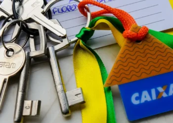 Idade máxima que é liberado fazer financiamento no Brasil e depois disso o CPF é barrado