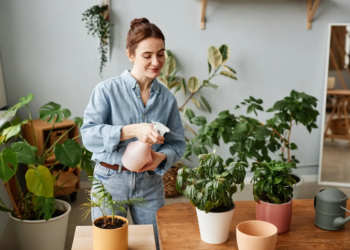 7 plantas que comem insetos e podem ser cultivadas em casa