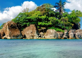 Mamífero raro no mundo todo mora em ilha no Sul do Brasil