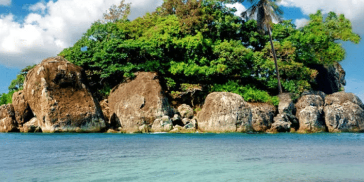 Mamífero raro no mundo todo mora em ilha no Sul do Brasil