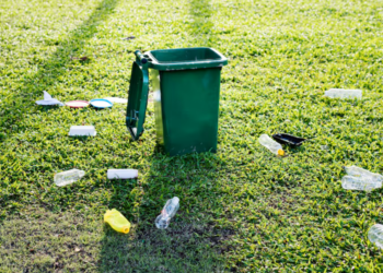 Multa de R$ 500 está sendo aplicada a pessoas que jogam lixo nas ruas em Santa Catarina