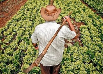 Créditos: Divulgação/Agência Brasil