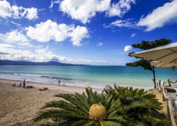 Melhor praia urbana do mundo é de fácil acesso e fica em ilha badalada do Brasil