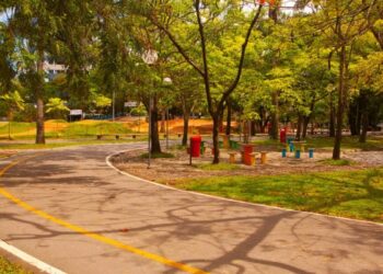 Capital nordestina com 5 vezes mais árvores plantadas que o indicado conseguiu reduzir a temperatura em 3°C