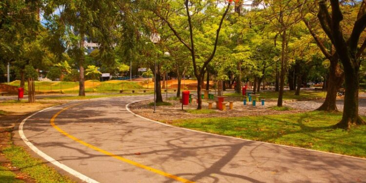 Capital nordestina com 5 vezes mais árvores plantadas que o indicado conseguiu reduzir a temperatura em 3°C