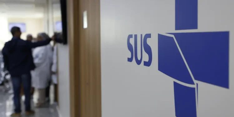 Planta presente em muitas casas passou a ser usada pelo SUS contra pedras nos rins