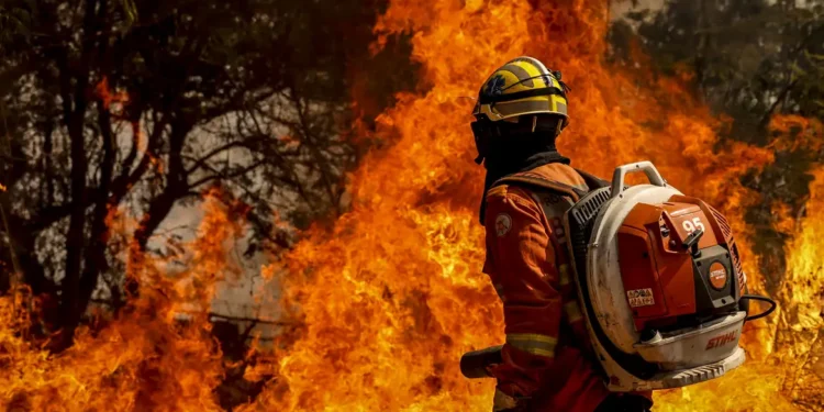 Carro parado na frente de hidrante pode ter os vidros quebrados pelo bombeiro se for necessário para apagar incêndio nos Estados Unidos