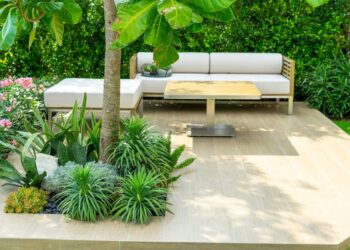 Veneno de animal que mora na sua casa vale mais do que ouro