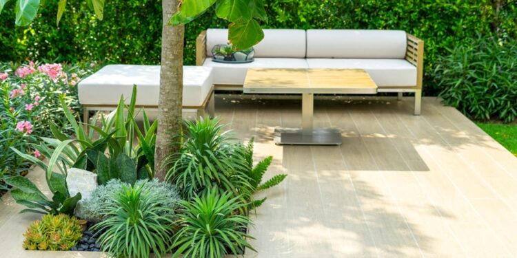 Veneno de animal que mora na sua casa vale mais do que ouro