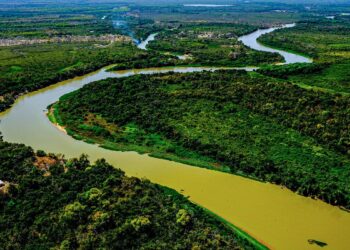 6 passeios para fazer no Pantanal que valem cada segundo