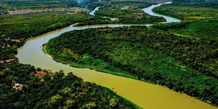 6 passeios para fazer no Pantanal que valem cada segundo