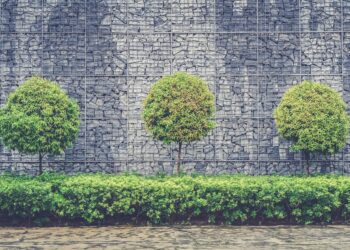 Estados Unidos não gostam de ficar atrás da China e construíram sua própria muralha