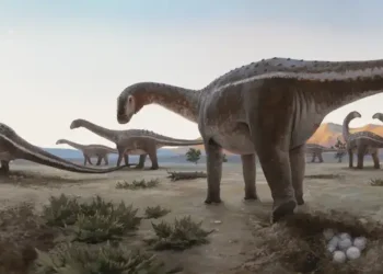 Nova espécie da época dos dinossauros acaba de ser descoberta