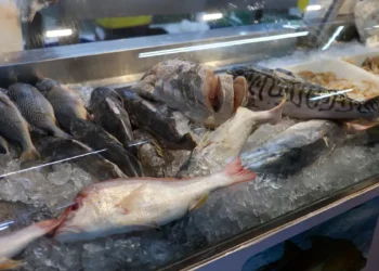 Adeus, tilápia e linguado: melhor peixe para fazer na air fryer vai te surpreender