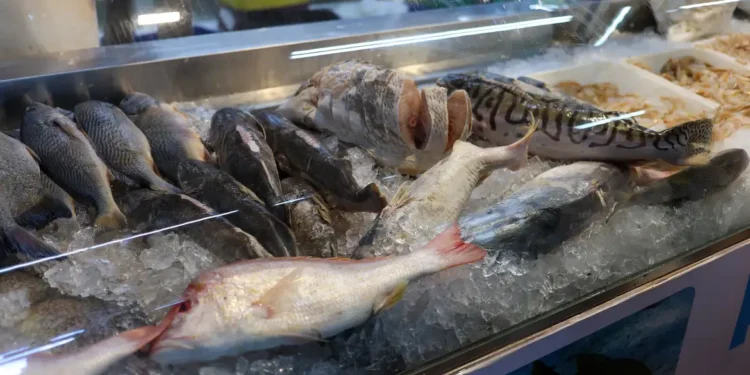 Adeus, tilápia e linguado: melhor peixe para fazer na air fryer vai te surpreender