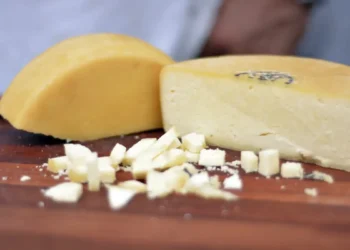 Consumo regular de queijo pode frear doença que afeta grande parte dos idosos, aponta estudo