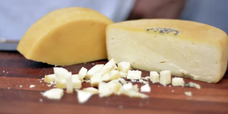Consumo regular de queijo pode frear doença que afeta grande parte dos idosos, aponta estudo