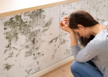 Inquilino com móvel danificado por mofo pode cobrar do proprietário e rescindir o contrato sem multa?