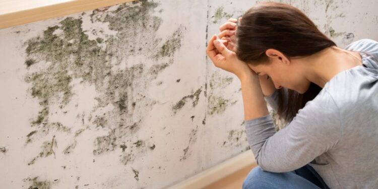 Inquilino com móvel danificado por mofo pode cobrar do proprietário e rescindir o contrato sem multa?