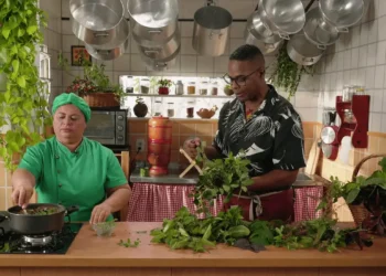 3 melhores plantas para cultivar dentro da cozinha e temperar a comida