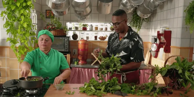 3 melhores plantas para cultivar dentro da cozinha e temperar a comida