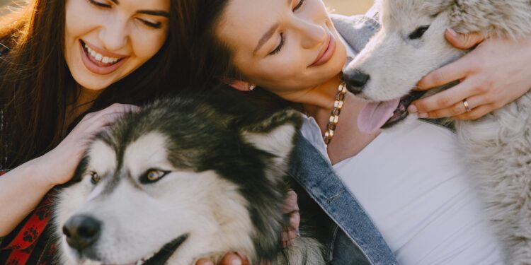 Nova licença por luto garante folga remunerada por falecimento de animais de estimação para trabalhadores neste país