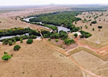 Sertanejo famoso vendeu fazenda de R$ 350 milhões, mas ainda fatura R$ 120 milhões por ano com gado