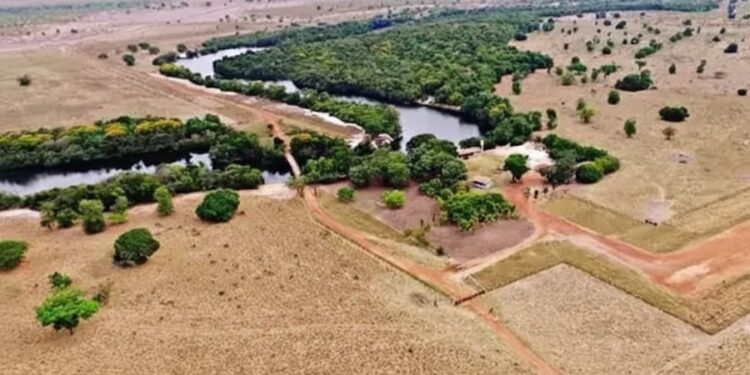 Sertanejo famoso vendeu fazenda de R$ 350 milhões, mas ainda fatura R$ 120 milhões por ano com gado
