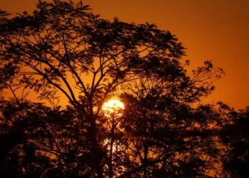 País mais feliz do mundo tem 75% do território coberto por florestas e até 22 horas de luz solar por dia
