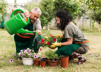 7 flores para plantar sem medo no outono de 2026