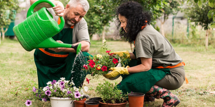 7 flores para plantar sem medo no outono de 2026